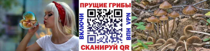 Псилоцибиновые грибы MAGIC MUSHROOMS  Купить где  Спасск 